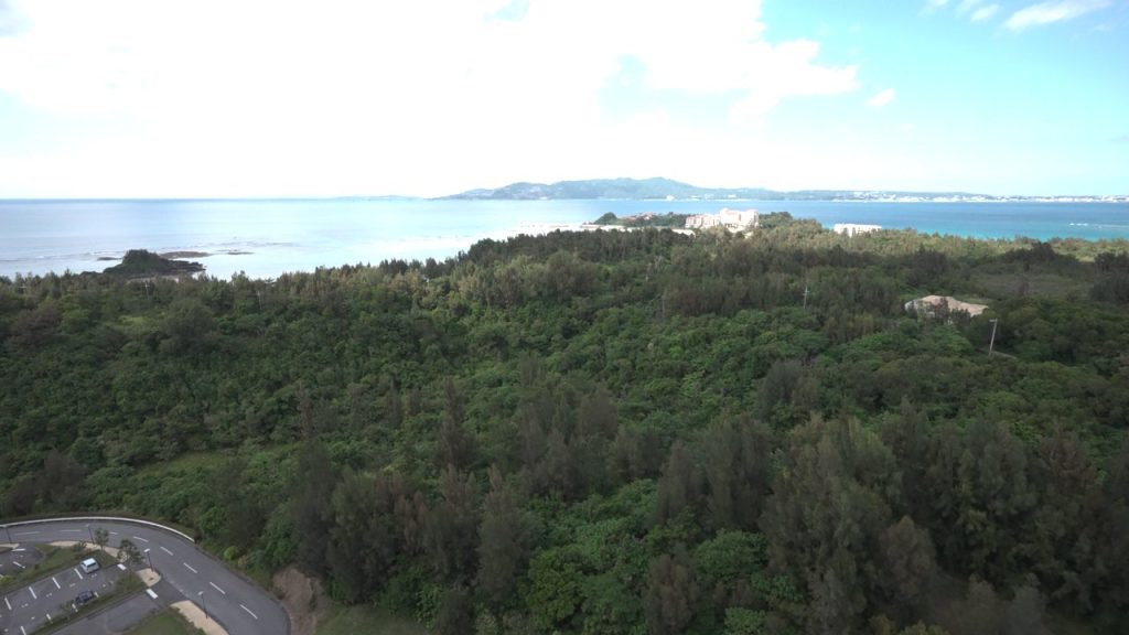 テラスから見た海