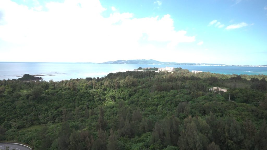 やんばるの森と海
