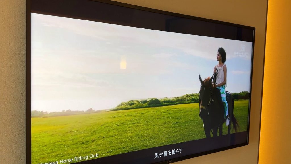 動画配信サービスが見られるテレビ