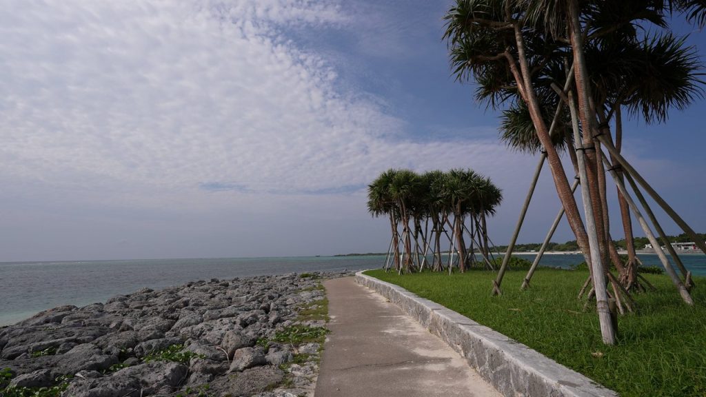 海沿いの遊歩道