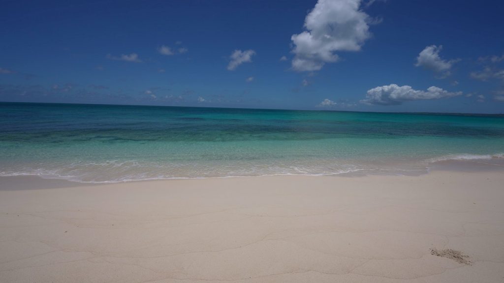 透明感のある海